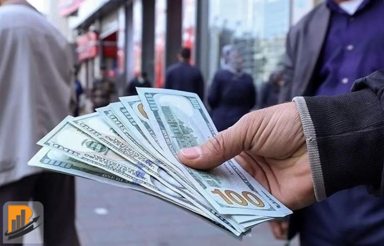 حمل و نگهداری بیش از 10،000 یورو یا معادل آن توسط هر شخص